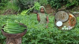 Bhindi Masala | Village Style Traditional CooKing | Village Kitchen Routine | Okra Masala