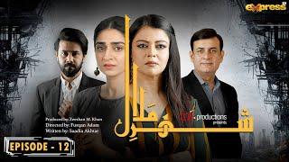 Shehr E Malal | Episode 12 | Ali Abbas, Hajra Yamin | Express TV