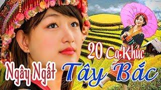 Nhạc Tây Bắc Mới Hay Nhất - 20 Ca Khúc Trữ Tình Tây Bắc, Ngây Ngất Với Núi Rừng Tây Bắc