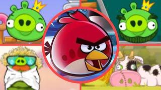 Angry Birds Time Travel - All Bosses (Luta dos Bosses)