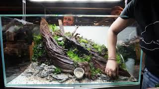 Aquaflora VIP Live Aquascaping contest - 6 Aquascape´s in 4 Std.