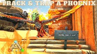 Taming a Phoenix | Ark Survival Evolved | Scorched Earth | Ep7