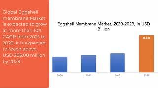 Eggshell Membrane Market | Exactitude Consultancy Reports