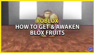 tutorial how to buy chip raid blox fruit