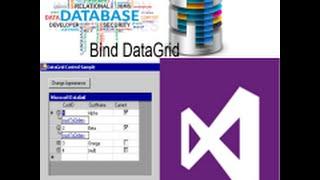 How to Bind dataGridview in winform c#