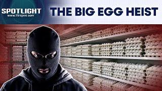 US: Thieves Steal $40,000 Worth Eggs In Pennsylvania Amid Rising Prices Spotlight | N18G