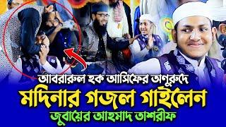 আসিফ হুজুরের অনুরুদে মদিনার গজল গাইলেন || ক্বারী জুবায়ের আহমাদ তাশরীফ  | Jubayer Ahmed Tasrif Gojol