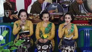 GENDING TEMANTEN JAWA CAMPUR SARI SEKAR ANOM OPENING 3