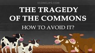 The Tragedy of the Commons | How to Avoid It?