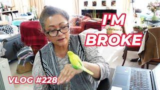 Comments, Super Thanks & Pedro the Budgie Talking | VLOG #228 Growing Succulents with LizK