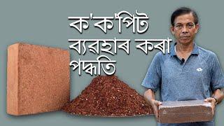 ক'ক'পিট ব্যৱহাৰ কৰা পদ্ধতি | How to use Cocopeat | Parijat Nursery Jorhat