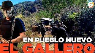 "El Gallero" se quiere meter a #Sinaloa : Enfrentamiento en #Durango