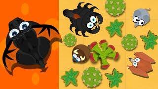 MOPE.IO / MOUSE TO PTERODACTYL TO BLACK DRAGON GAMEPLAY