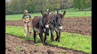 Learning to Plow with a Donkey Team