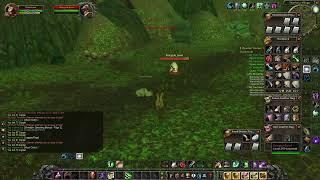 How I defeated Rorgish Jowl the rare furbolg - WoW HC SF