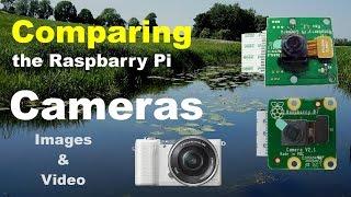 Comparing Raspberry Pi Cameras - A visual experience