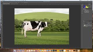 How to insert an image into another image Photoshop | EASY EXPLANATION