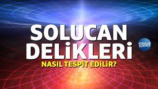 Solucan Delikleri Nasıl Tespit Edilebilir? | Popular Science Türkiye