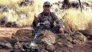 Bowhunting Axis Deer in Lanai,Hawaii | Spot and Stalk April 2022