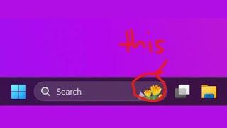 How to Turn Off Search Highlights on Windows 11