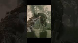 Red Dead Online Legendary Alligator