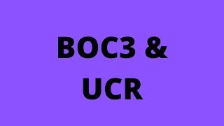 How to file BOC3 & UCR? | Follow along video!
