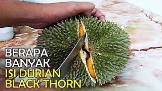 Berapa Banyak Isi Durian Black Thorn | Ochee | Duri Hitam