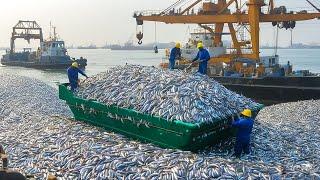 Scanning the Ocean with Fishing Technology – 100 Tons of Fish Every Day in Alaska – Overfishing