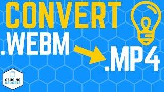 WebM To MP4 Converter - Free WebM Converter