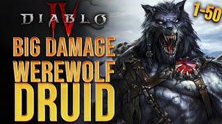 Diablo 4 Druid Build: D4 WEREWOLF Leveling Build