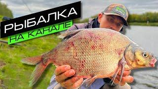 ЛОВЛЯ ЛЕЩА НА ФИДЕР / РЫБАЛКА НА КАНАЛЕ / FROS FISHING