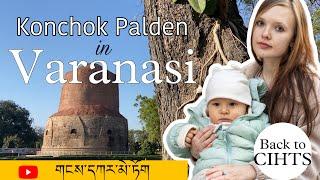 Konchok Palden in Varanasi|| Staying in my Institute CIHTS ཝཱཎ་མཐོ་སློབ། གངས་དཀར་མེ་ཏོག