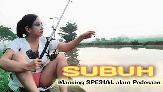 Mancing pagi SPESIAL di alam kampung pedesaan yang indah udara ya sejuk