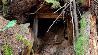 Abandoned Mine Workings Found Below Road!