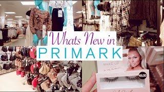 Whats New in Primark Autumn 2019 | Come Shopping With Me