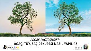 PHOTOSHOP'TA SAÇ, TÜY, AĞAÇ DEKUPE NASIL YAPILIR?