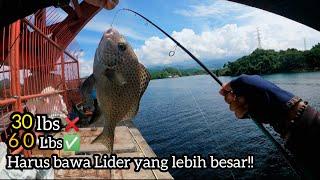 Percayalah‼️Mancing di Jembatan Merah ini bikin kamu lupa segalanya