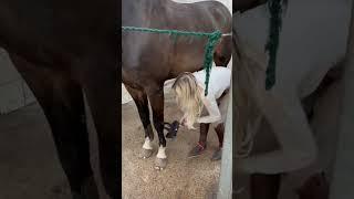 Time for a bath  #equestrian #horse #horselover #horseriding