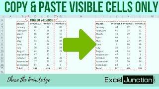 Copy & Paste VISIBLE CELLS ONLY | ExcelJunction.com