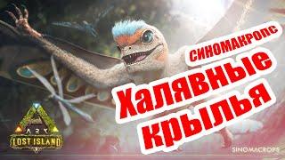 СИНОМАКРОПС - ХАЛЯВНЫЕ КРЫЛЬЯ В ПЕРВЫЕ 5 МИНУТ ИГРЫ | Ark Survival Evolved | Lost Island | ГАЙД