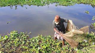 Village Net Fishing Video - Best Net Fishing Video- Traditional Net Fishing Video