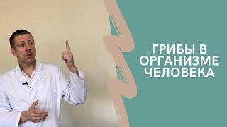 Низшие формы жизни. Грибы в организме человека. Как бороться?