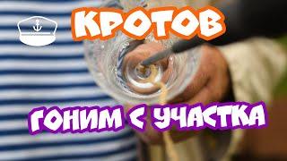 Как избавиться от мышей и кротов на садовом участке (хрустальный звон)