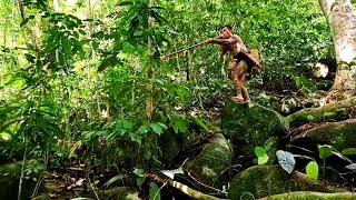 MELIHAT KEHIDUPAN SUKU DAYAK PUNAN YANG TINGGAL DI PEDALAMAN HUTAN KALIMANTAN