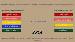 Internal Environment Analysis in Strategic Management