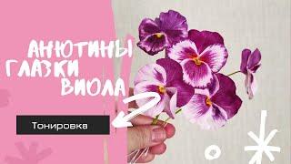 МК Виола/ Анютины глазки/фиалки