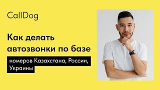 Как делать автозвоноки по базе номеров Казахстана, России, Украины (аудиорассылка, CallDog)