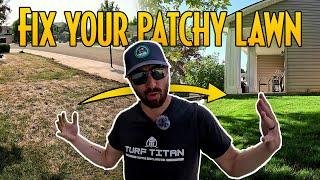 EASY Fix For Your Patchy Lawn! With Results!