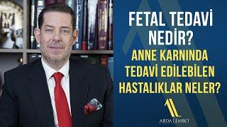 Fetal Tedavi Nedir? Anne Karnında Tedavi Edilebilen Hastalıklar Neler? | Prof. Dr. Arda Lembet