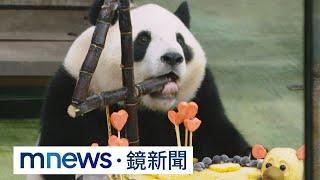 生日快樂！大貓熊圓寶4歲了　萌吃冰磚蛋糕｜#鏡新聞